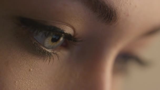 Close-up shot van vrouw oog met lichte dag make-up. — Stockvideo