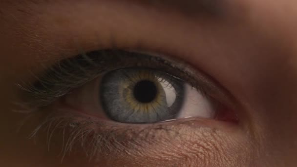 Gros plan plan coulissant des yeux bleus d'une femme de l'avant avec maquillage jour clair .