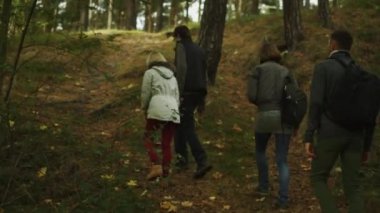 Kadın ve erkek grup tırmanma bir ormandaki bir tepeye sonbaharda.