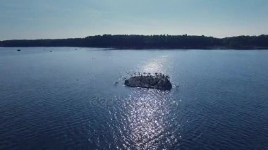 Denizde bir taşa oturup aniden uçup gitmeye başlamak Kuşlar sürüsü hava uçak atış.