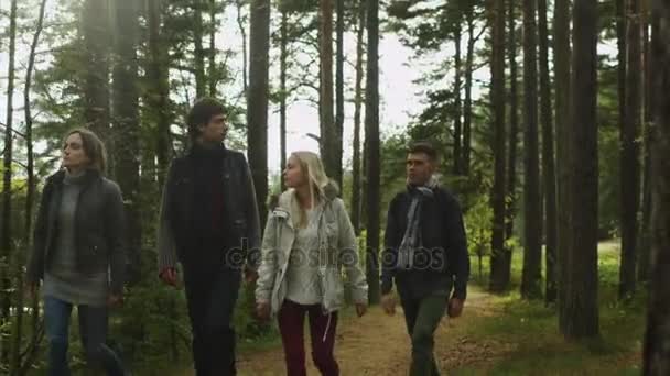 Група молодих дорослих друзів гуляє в прекрасному осінньому лісі з сонячним світлом, гальмуючи листя . — стокове відео