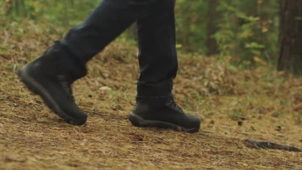 Grupp människor i närbild ben skott från sida promenad ner backen i skogen i höst. — Stockvideo