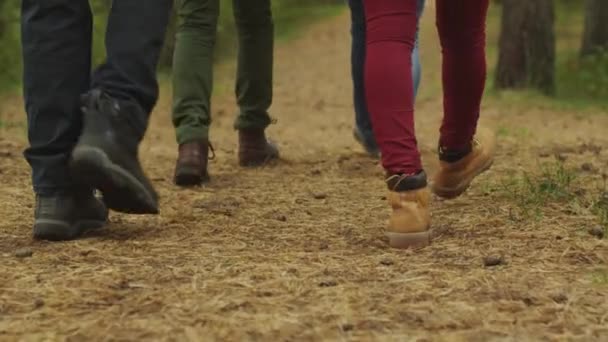 Group of people in close-up leg shot walk in the forest in autumn. — Stock Video