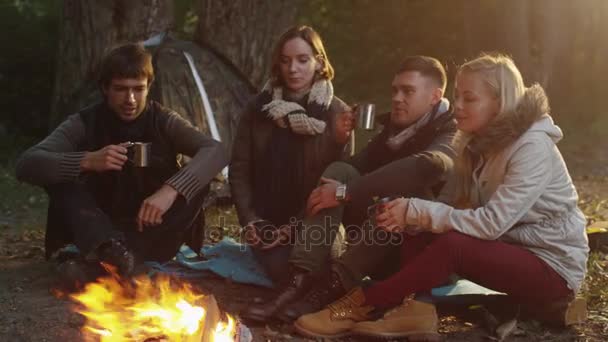 Emberek csoportja egy erdő, egy tábortűz termosz meleg italok mellett ülni, és beszélni. — Stock videók