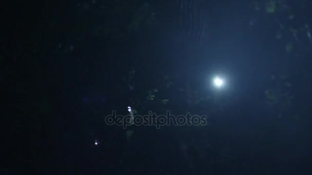 人用手电筒在夜间运行在森林在黑暗中. — 图库视频影像