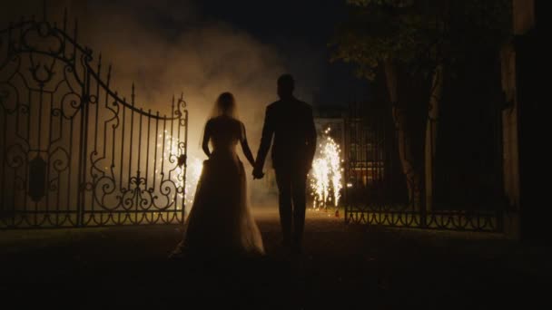Felices jóvenes recién casados están caminando a través de fuegos artificiales en un parque por la noche . — Vídeo de stock