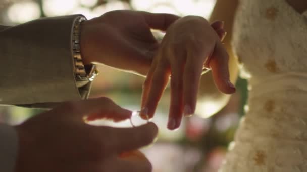Noiva e noivo trocam anéis de casamento de perto em um parque . — Vídeo de Stock