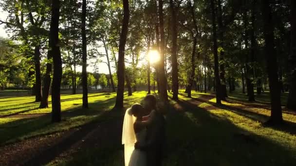 Antenn drönare sköt zoomar ut från nygifta i en park. — Stockvideo