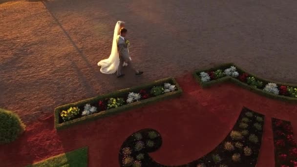 Aerial drone shot of a just marries couple moving to the mansion. — Stock Video