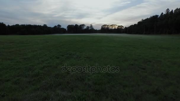 Antenn drönare skott av fältet morgon med dimma och dimma. — Stockvideo