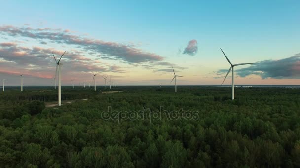 Aerial drone shot of wind turbines in the forest near the sea at sunset. — Stock Video
