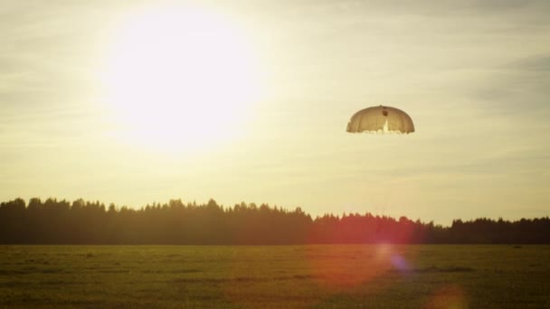 Tiro de desembarque Skydivers na luz do pôr do sol — Vídeo de Stock