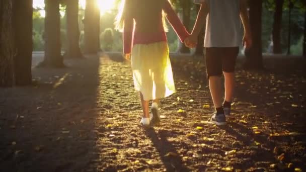 Boy and Girl están sosteniendo las manos juntas y caminando en el parque — Vídeos de Stock