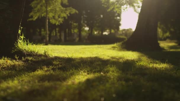 Två flickor är kör bort i solljus på Park — Stockvideo