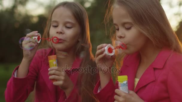 Dos chicas gemelas están jugando con burbujas de jabón en el parque — Vídeos de Stock