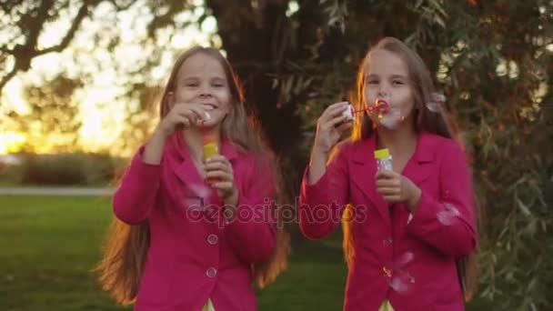 Dos chicas gemelas están jugando con burbujas de jabón en el parque — Vídeo de stock