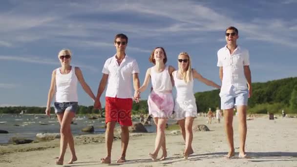 Groep vrienden lopen op strand op een zonnige dag — Stockvideo