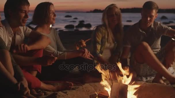 Group of People near Campfire Frying Meat at Night — Stock Video