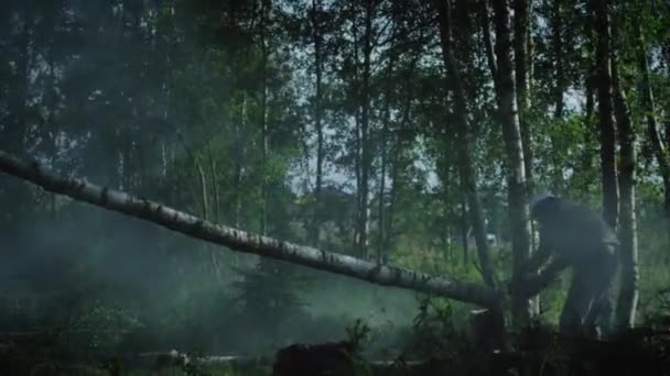 Lumberjack är avverkning träd med motorsåg — Stockvideo