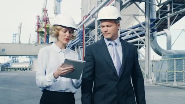 Gestionnaires femmes et hommes à Cargo Harbour . — Video