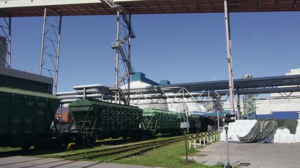 货运列车在铁路车站 — 图库视频影像