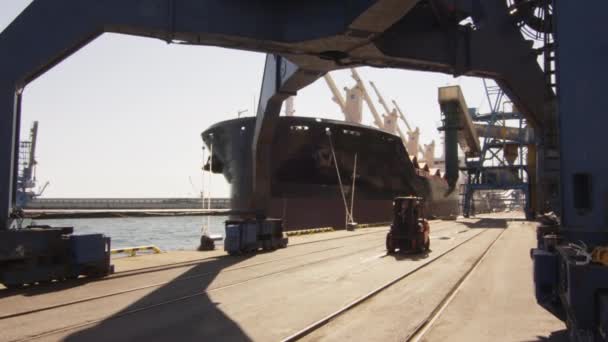 Empilhadeira no porto de carga . — Vídeo de Stock