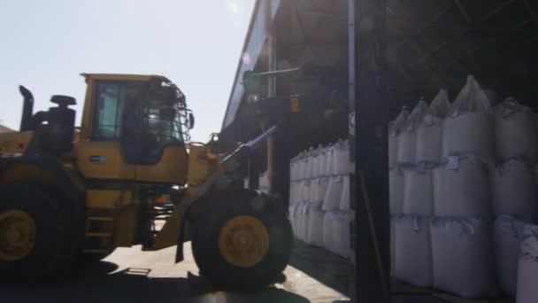 Truck Loader är lastning Last väskor. — Stockvideo