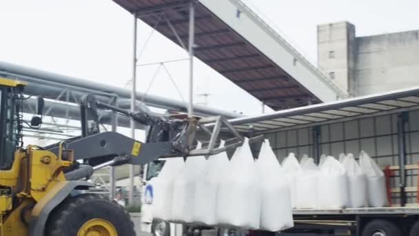 Le chargeur de chariot élévateur charge des sacs avec des marchandises dans le camion — Video