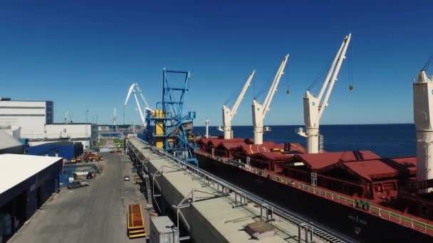 Aerial Drone Shot of Cargo Harbor with Cranes — Stock Video