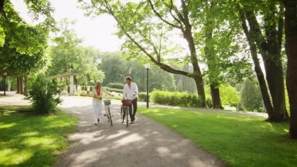 Взрослые пары гуляют в парке — стоковое видео