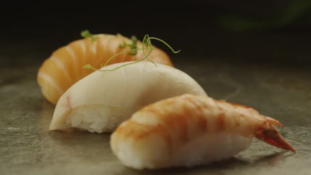 Set of Sashimi in Japanese Restaurant — Stock Video