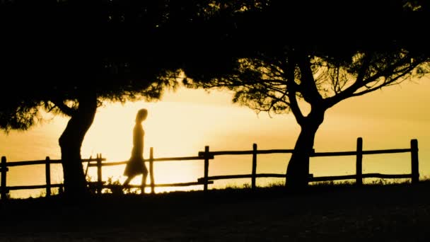 Mädchen macht Fotos mit Handy vom Meer bei Sonnenuntergang — Stockvideo