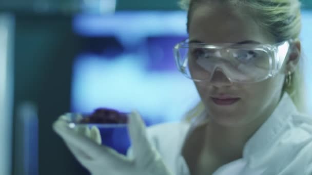 Jeune femme scientifique fait des recherches écologiques. Tourné sur caméra de cinéma rouge en 4K (UHD ) — Video