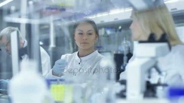 Kadın araştırma bilim adamları geçer Slided mikroskop altında örnek gözlemler onun meslektaşı. Onlar büyük bir araştırma merkezinde iş / laboratuvar.