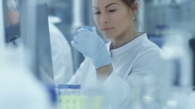 Meslektaşım ve tüp sonuçları ve türleri ayıklanan veriler içine onun bilgisayar bakar ile tıbbi araştırma bilim adamları görüşmeler. Bilim adamları Modern laboratuvar çalışmalarında.