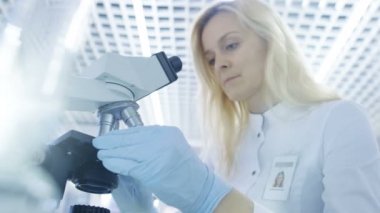 Düşük açı çekim, tıp araştırma yer ve örnekleri mikroskop altında arıyorsunuz slaytlar koyarak bilim adamları. O parlak Modern laboratuarda çalışıyor.