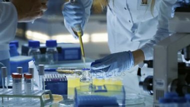 Kadın araştırma bilim adamı Micropipette dolum Test tüpleri kullanır. Bilim adamı ölümcül hastalığının tedavisi çalışan bilim adamları takımında çalışıyor, onlar büyük bir laboratuvarda iş / Araştırma Merkezi.