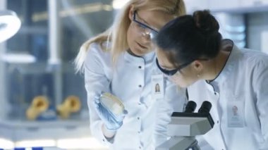 Tıbbi araştırma bilim adamları incelemek Petri kabına örnek ve mikroskop altında örnekleri bak. Onlar Modern bir laboratuvarda iş.