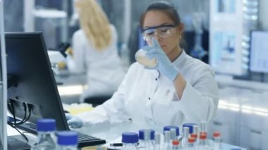 Tıbbi araştırma bilim adamı Petri kabına ve türleri kişisel bilgisayarında görünüyor. O bir Modern parlak laboratuarında çalışıyor.