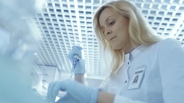 Nízký úhel záběru lékařský výzkumný pracovník používá Mikropipety zkumavky. Pracuje v světlé moderní laboratoře. — Stock video