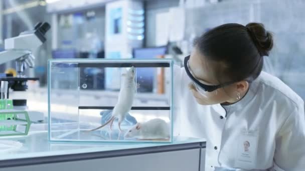 Medicinska forskare undersöker laboratoriemöss och ser på vävnadsprover under mikroskop. Hon arbetar i en Ljuslaboratoriet. — Stockvideo