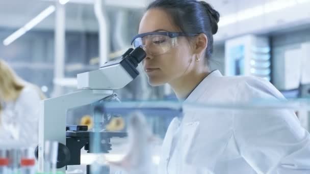 Medical Research Scientist Examines Laboratory Mice and Looks on Tissue Samples under Microscope. Trabaja en un laboratorio de luz . — Vídeo de stock