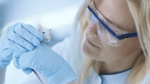 医学研究科学者の保持している実験室のマウス。彼女は明るく近代的な研究室で働いてください。. — ストック動画