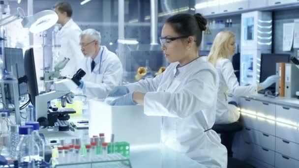 Mediziner öffnet Kühlbox nimmt Petrischale mit Proben und untersucht sie. Sie arbeitet in einem modernen Laborzentrum. — Stockvideo