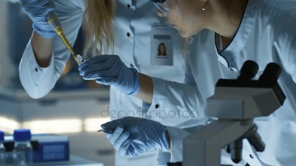 Female Research Scientists Passes Slided to Her Colleague Who Observes Sample under Microscope (en inglés). Trabajan en un gran centro de investigación / laboratorio . — Vídeo de stock