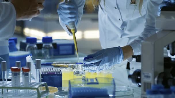 Chercheuse scientifique utilise des éprouvettes de remplissage de micropipettes. Scientifique travaille dans une équipe de scientifiques essayant de guérir la maladie mortelle, ils travaillent dans un grand laboratoire / centre de recherche .
