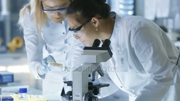 Gli scienziati di ricerca medica esaminano il campione del piatto di Petri e guardano i campioni al microscopio. Lavorano in un laboratorio moderno . — Video Stock