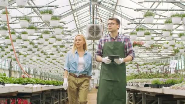 Jordbruksingenjören rymmer surfplatta går igenom industriella växthusgaser med professionella jordbrukare. De har produktiv diskussion. Glasshouse är stora och ljusa full av blomkrukor. — Stockvideo