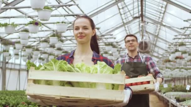 Dos felices trabajadores industriales de invernadero llevan cajas llenas de verduras. La gente sonríe y está feliz con los alimentos orgánicos que están creciendo . — Vídeos de Stock