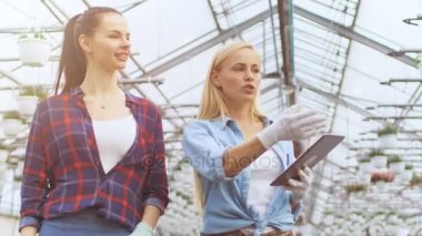 Ziraat Mühendisi Tablet bilgisayar profesyonel çiftçi ile endüstriyel sera size yürür tutar. Onlar bitkilerin incelemek ve büyüyen potansiyel çözümleyebilirsiniz. Glasshouse büyük ve parlak Çiçeklik dolu olduğunu.
